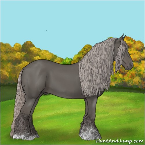 Horse Color:Silver Black Sabino 