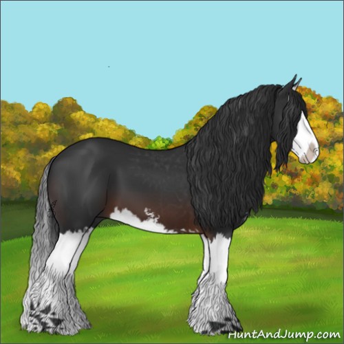 Horse Color:Brown Sabino Splash 