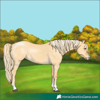 Horse Color:Palomino Dun 