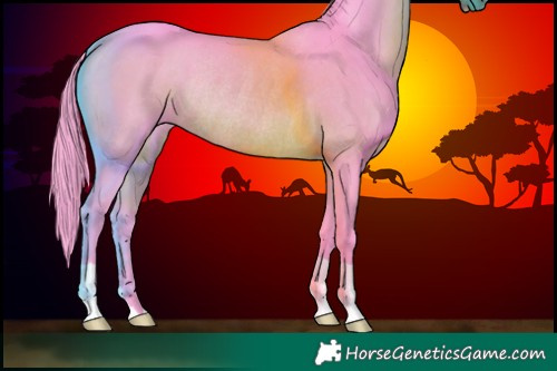 Horse Color:Watercolor Brown Rabicano 
