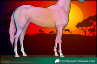 Horse Color:Watercolor Brown 