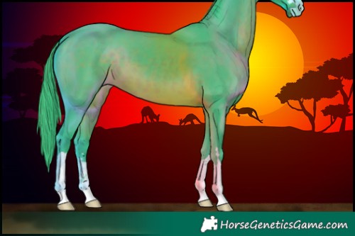 Horse Color:Watercolor Brown 