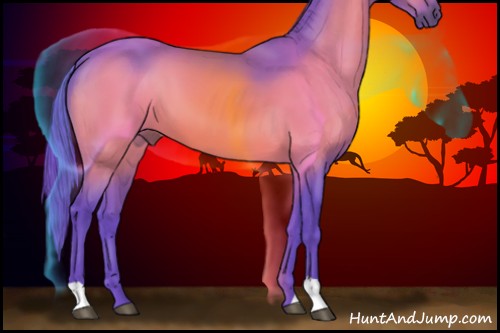 Horse Color:Watercolor Bay 
