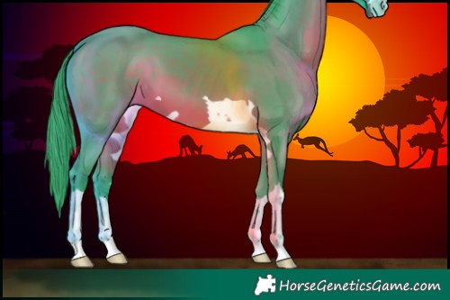 Horse Color:Watercolor Brown 