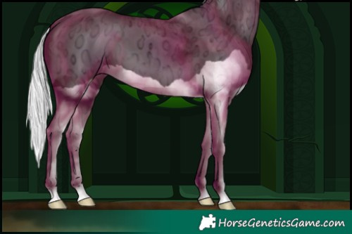 Horse Color:Silver Black Chinchilla Ice Splash 