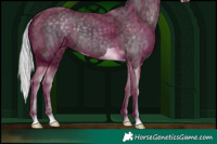 Horse Color:Silver Black Chinchilla Ice Splash 