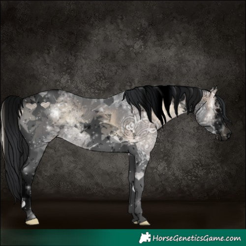 Horse Color:Void White Spotted Brown Ice Onyx Tobiano Rabicano
