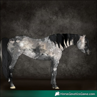 Horse Color:Void White Spotted Brown Ice Onyx Tobiano Rabicano 