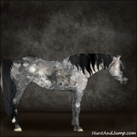 Horse Color:Void White Spotted Brown Ice Onyx Tobiano Rabicano 