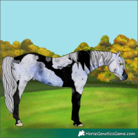 Horse Color:ERROR: UNKNOWN ANOMALY