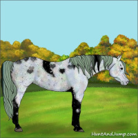 Horse Color:ERROR: UNKNOWN ANOMALY