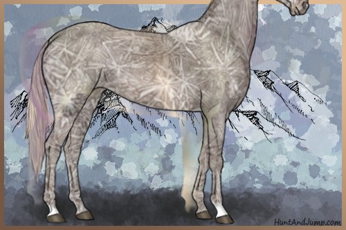 Horse Color:Silver Black Ice 