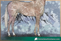 Horse Color:Silver Black Ice 