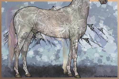 Horse Color:Silver Black Ice 