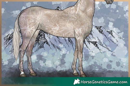 Horse Color:Silver Grullo Ice Rabicano 