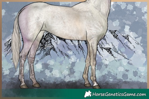 Horse Color:Silver Grullo Ice Roan 