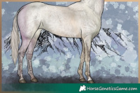 Horse Color:Silver Grullo Ice Roan 