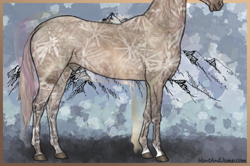 Horse Color:Silver Brown Ice Dun 
