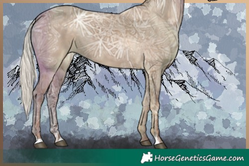 Horse Color:Silver Grullo Ice Rabicano 