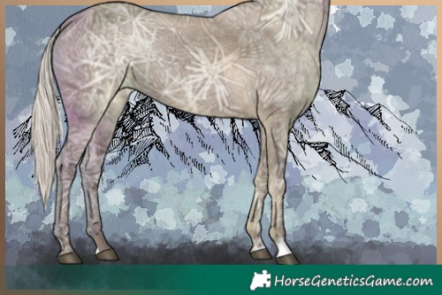 Horse Color:Silver Grullo Ice Rabicano 