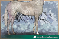 Horse Color:Silver Grullo Ice Rabicano 
