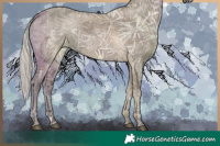 Horse Color:Silver Grullo Ice Rabicano 