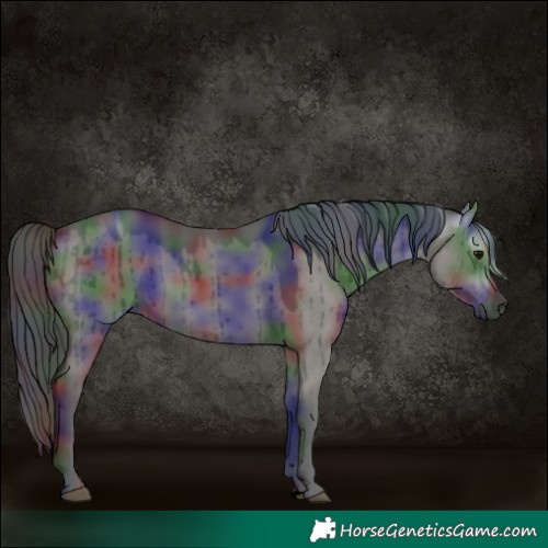 Horse Color:Gray Void Nacre Smoky Grullo Brindle 