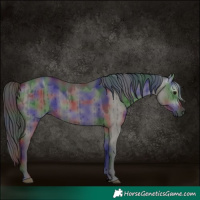 Horse Color:Gray Void Nacre Smoky Grullo Brindle 