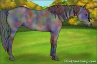 Horse Color:Void Nacre Grullo Rabicano