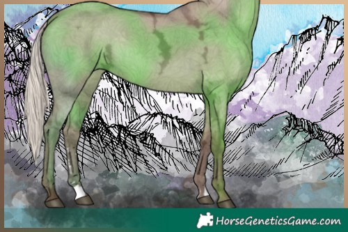 Horse Color:Silver Grullo Ice 