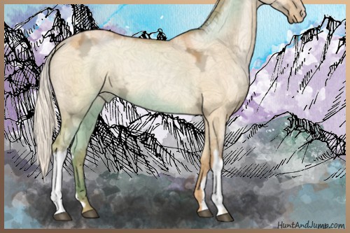 Horse Color:Silver Bay Ice Pearl Dun 