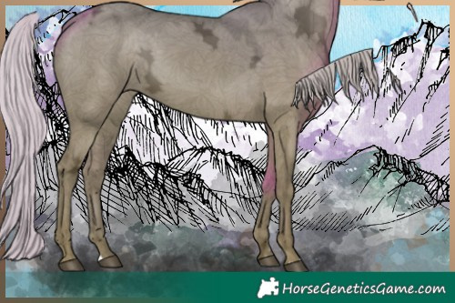 Horse Color:Silver Grullo Ice 