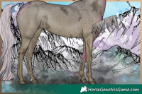 Horse Color:Silver Grullo Ice 