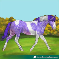Horse Color:Watercolor Brown Ice Tobiano 