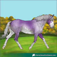 Horse Color:Gray Watercolor White Spotted Silver Smoky Black