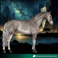 Horse Color:Void Platinum Silver Blue Onyx 
