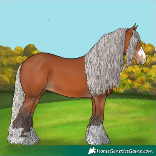 Horse Color:Silver Bay 