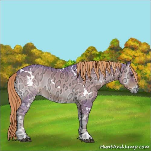 Horse Color:Watercolor White Spotted Liver Red Onyx Ice 
