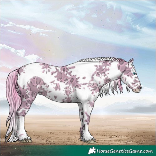 Horse Color:Watercolor White Spotted Black Ice Splash Tobiano 