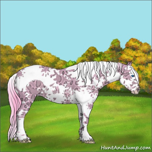 Horse Color:Watercolor White Spotted Black Ice Splash Tobiano 