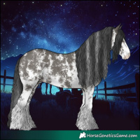 Horse Color:Grullo Sabino Rabicano