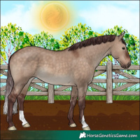 Horse Color:Chocolate Brown Dun