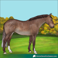 Horse Color:Chocolate Brown Dun