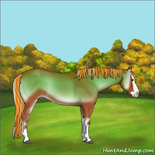 Horse Color:Painted Silver Brown Onyx Splash Rabicano 