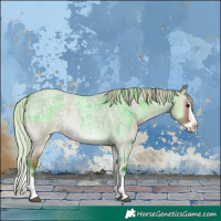 Horse Color:Silver Grullo Roan Onyx Splash 