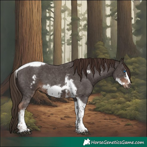 Horse Color:Liver Chestnut Sabino Tobiano Frame