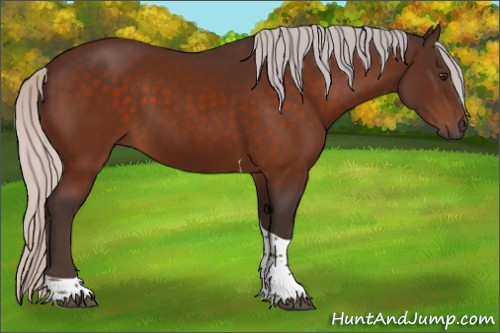 Horse Color:Silver Brown Tobiano 