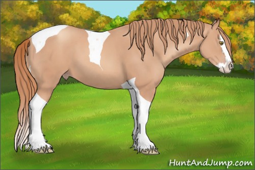 Horse Color:Gold Champagne Splash Tobiano 