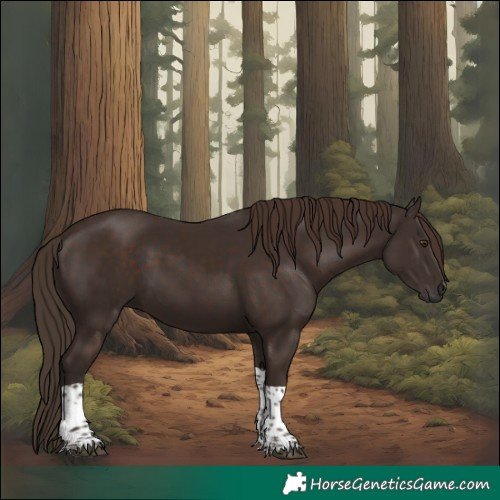 Horse Color:Liver Chestnut Tobiano