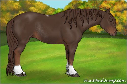 Horse Color:Liver Chestnut Tobiano Rabicano 